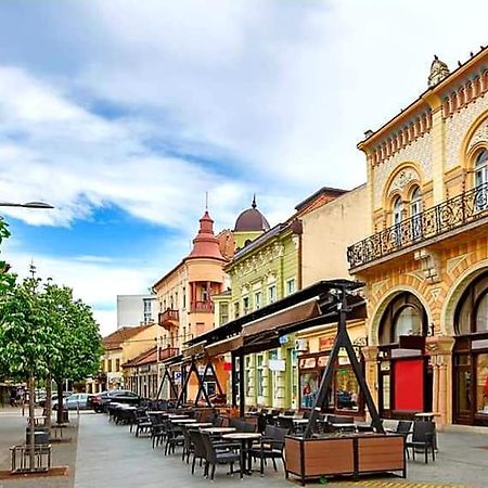 Centar Lux 2 Hostel Becicherecul Mare Exterior foto